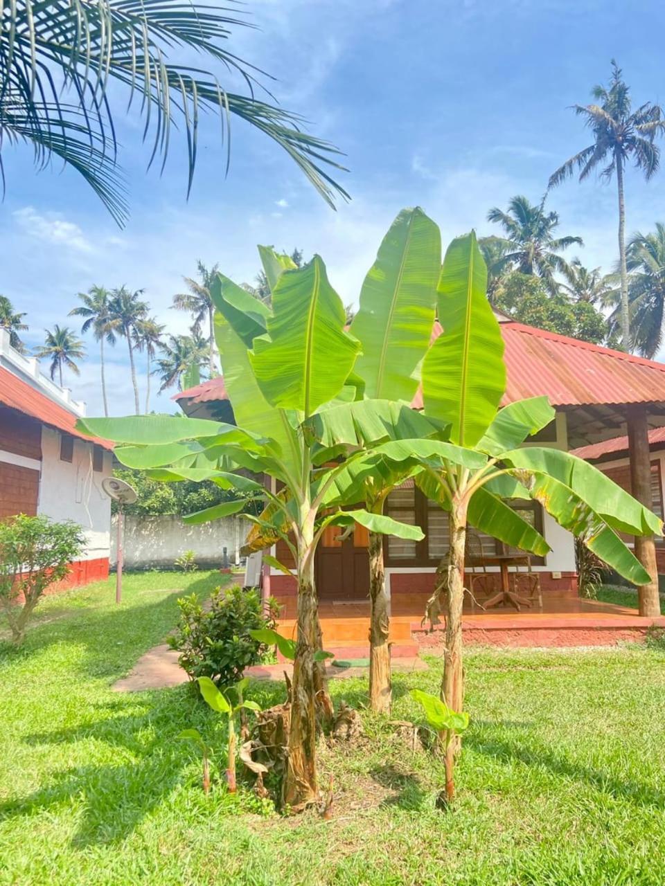 Hill View Ayurvedic Beach Resort Varkala Ngoại thất bức ảnh